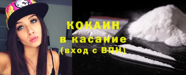 прущие грибы Абинск