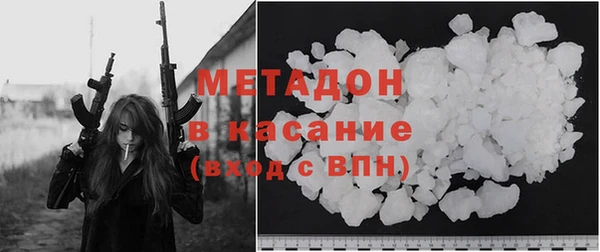 прущие грибы Абинск