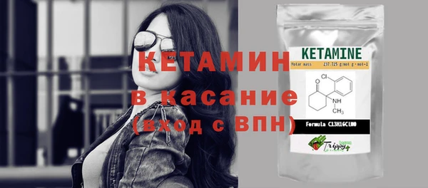 прущие грибы Абинск