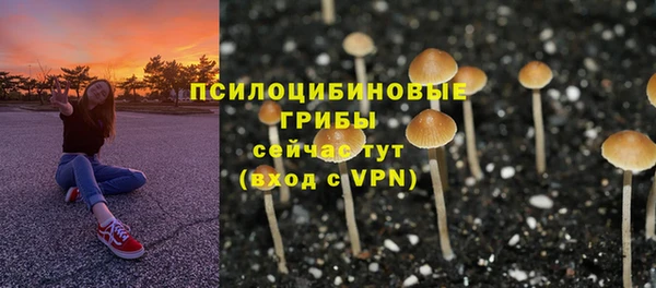 mdpv Абдулино