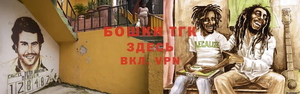 ПСИЛОЦИБИНОВЫЕ ГРИБЫ Алексин