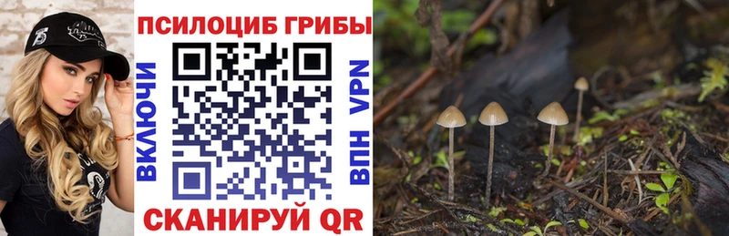 Галлюциногенные грибы Psilocybine cubensis  ссылка на мегу как зайти  Кирсанов 